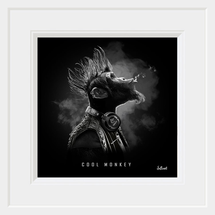 Cool Monkey