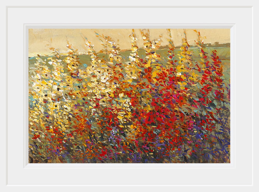 Field of Spring Flowers I