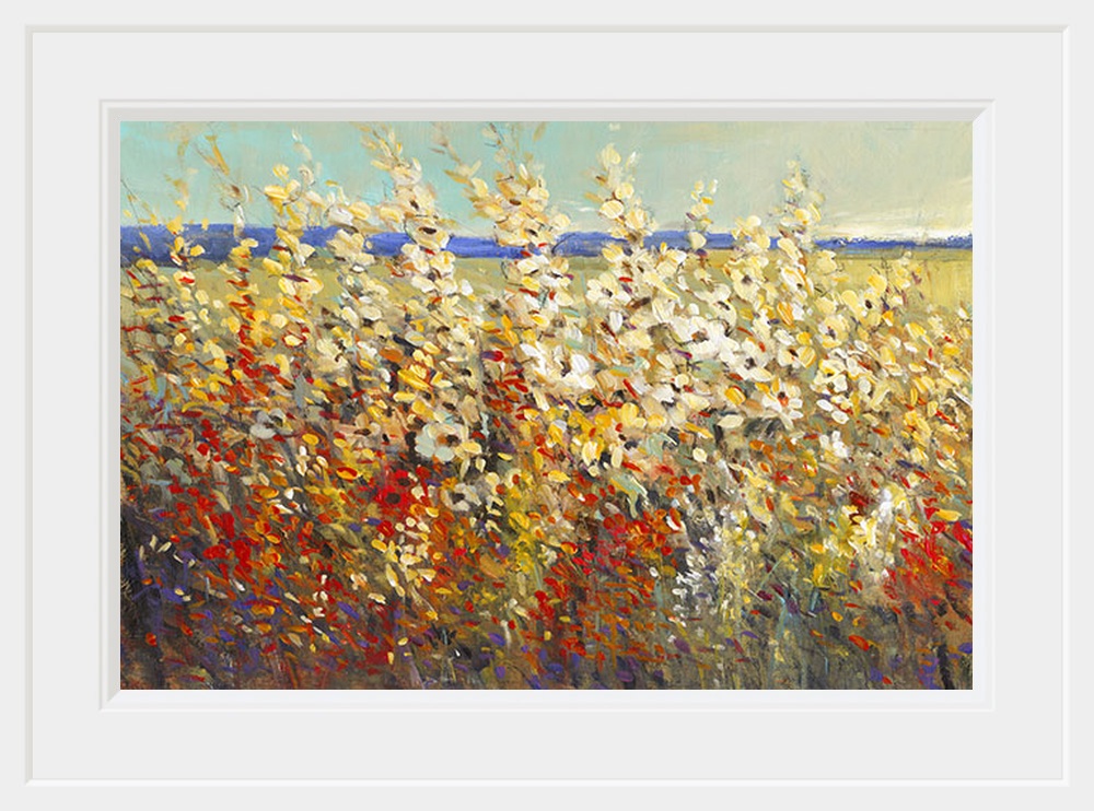 Field of Spring Flowers II