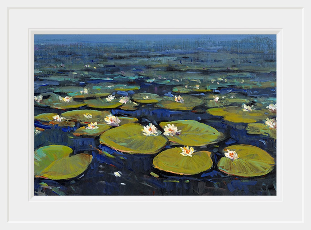 Lily Pads II