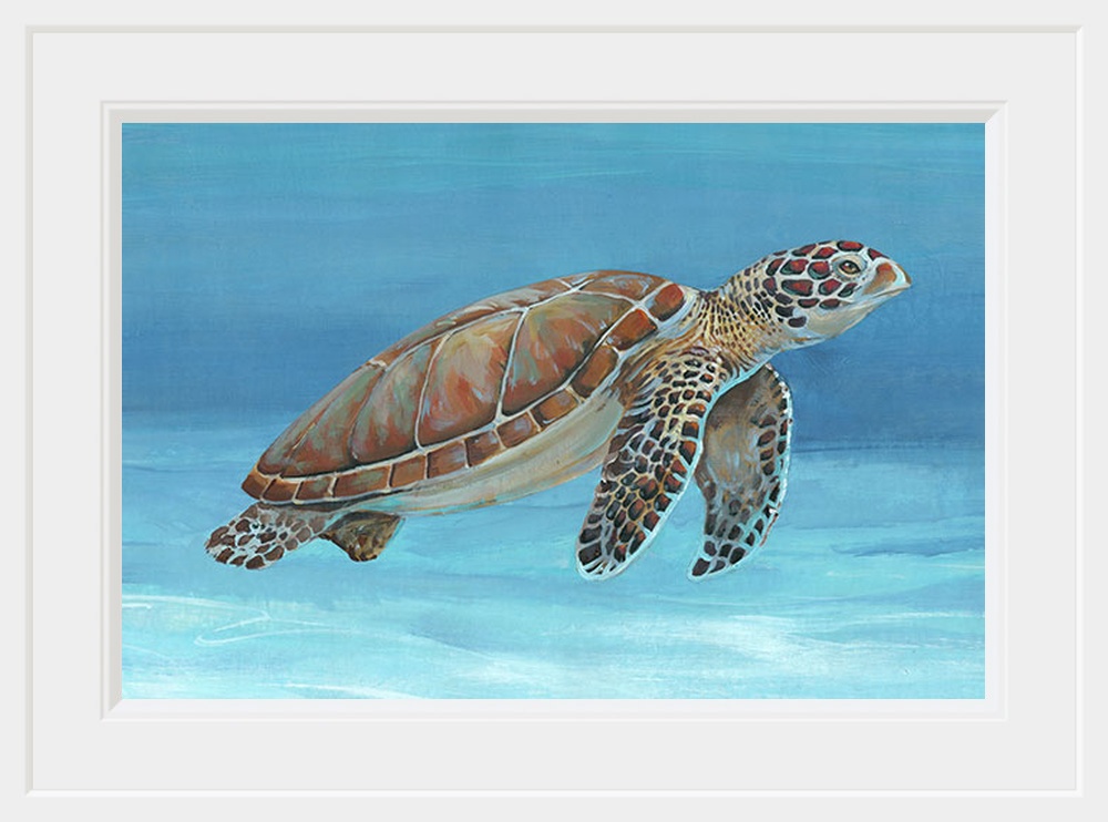 Ocean Sea Turtle I