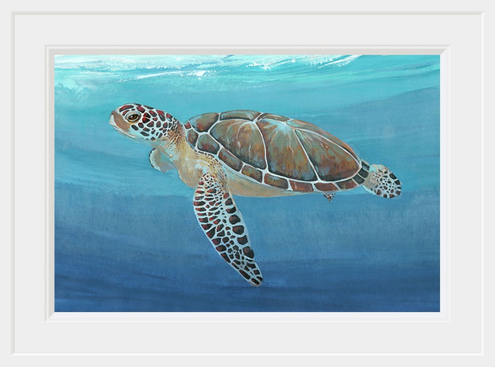 Ocean Sea Turtle II
