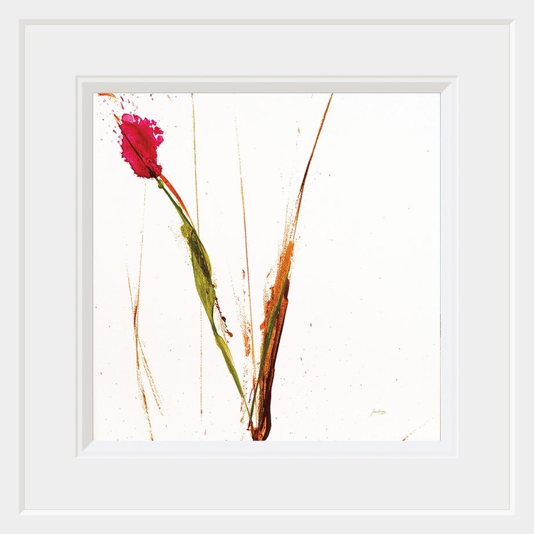 Pink Buds I on White