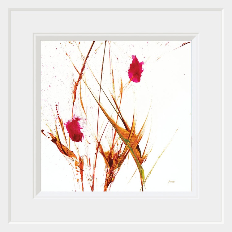 Pink Buds II v2 on White