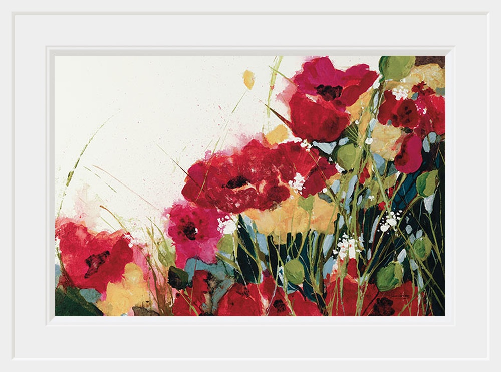 Poppies and Flowers on White
