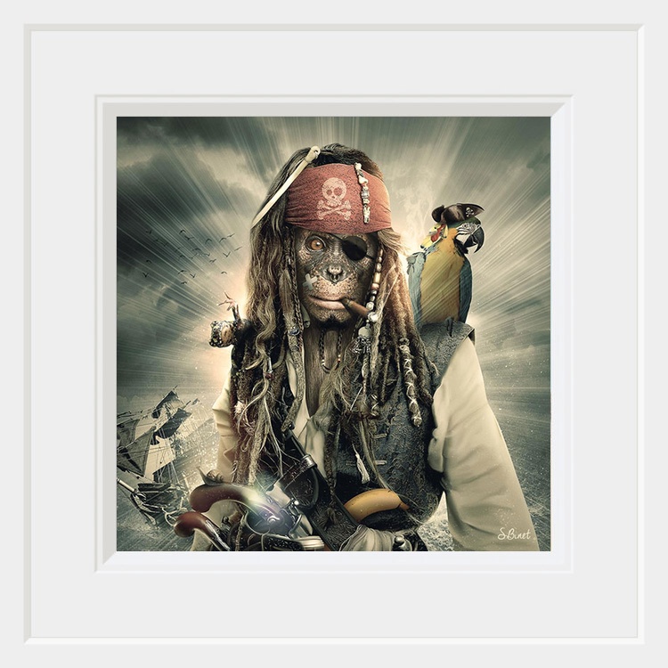 Primates des Caraibes