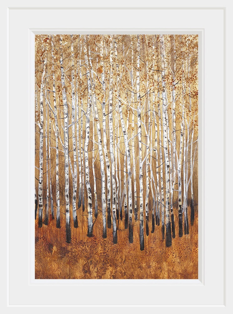 Sienna Birches I